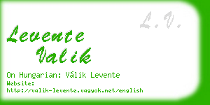 levente valik business card