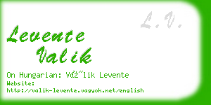 levente valik business card